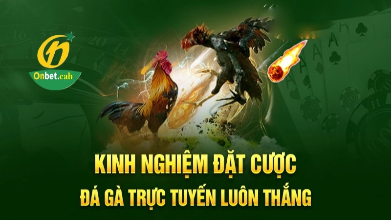 Kinh nghiệm chơi cá cược đá gà trực tuyến